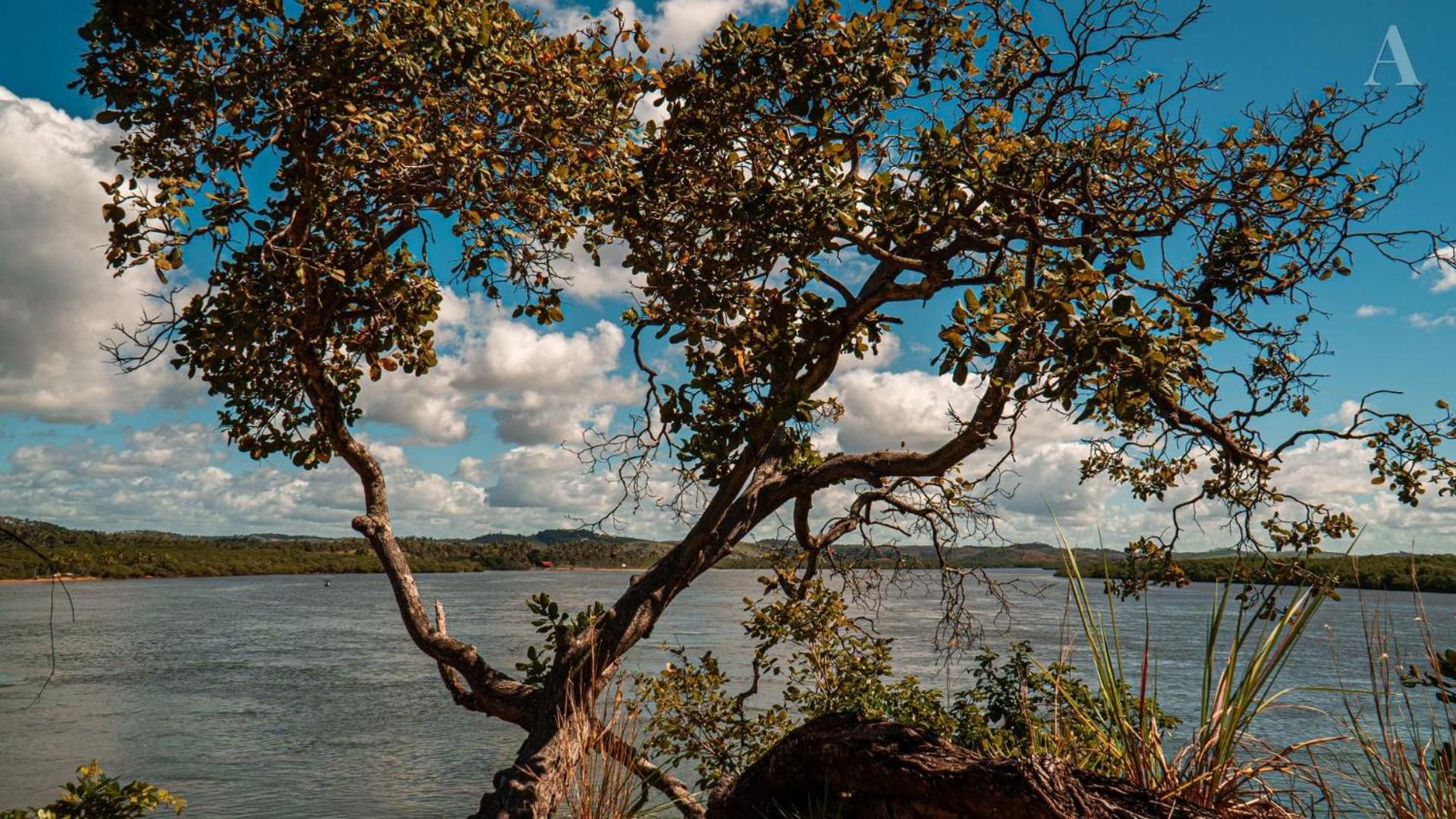 Pousada Recanto Sol Nascente, Luxo E Proximidade Com A Natureza Ξενοδοχείο Rio Formoso Εξωτερικό φωτογραφία